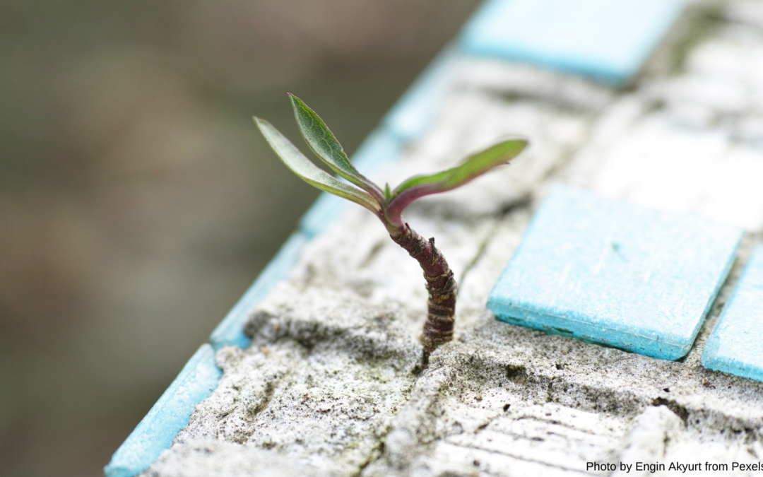 From crisis to Recovery: USP2030 in a changing world